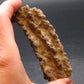 Large Fulgurite Lightning Rock From Sahara Desert - 3.2"