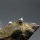 Sperrylite Crystal On Matrix From Russia - 0.6" - 1mm Crystal
