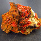 Rare Orange Crocoite Cluster From Australia - 3.4" - 144 Grams