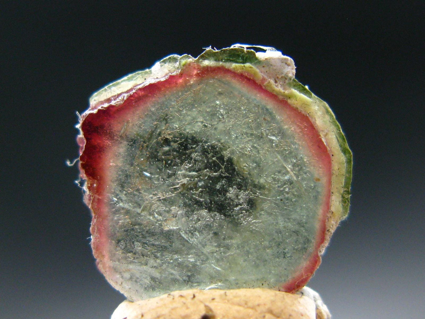 Rare Watermelon Tourmaline Crystal Slice From Brazil - 6.93 Carats