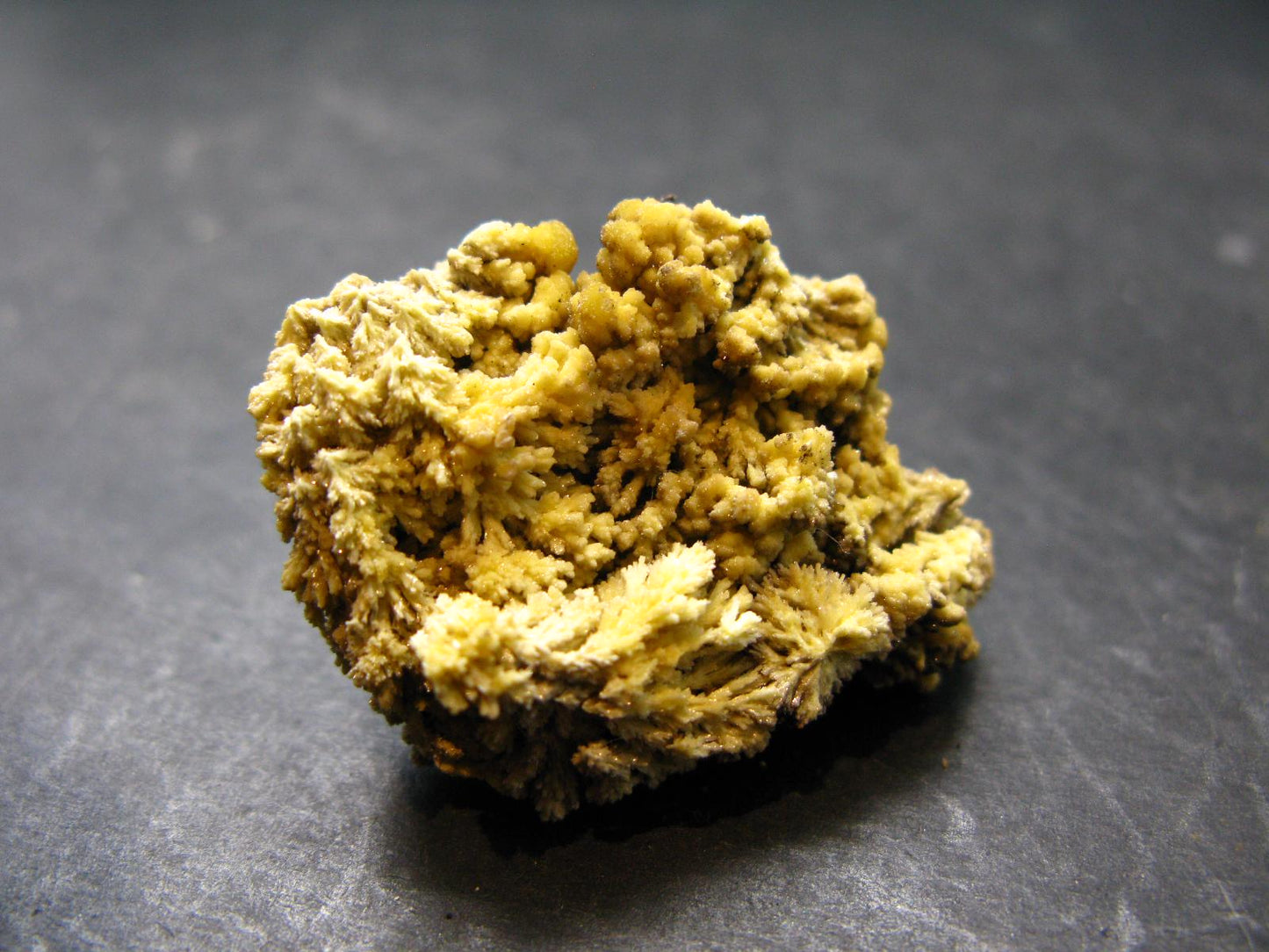 Nice Large Yellow Mimetite Cluster from Mexico - 1.5"