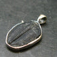 Trilobite Silver Pendant from USA - 1.0" - 1.66 Grams