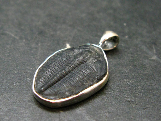 Trilobite Silver Pendant from USA - 1.0" - 1.66 Grams