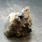 Brookite On Quartz Cluster From Arkansas - 27.74 Grams - 1.2"