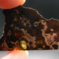 Large Brahin Meteorite Pallasite Olivine Slice From Belarus - 2.4" - 8.82 Grams