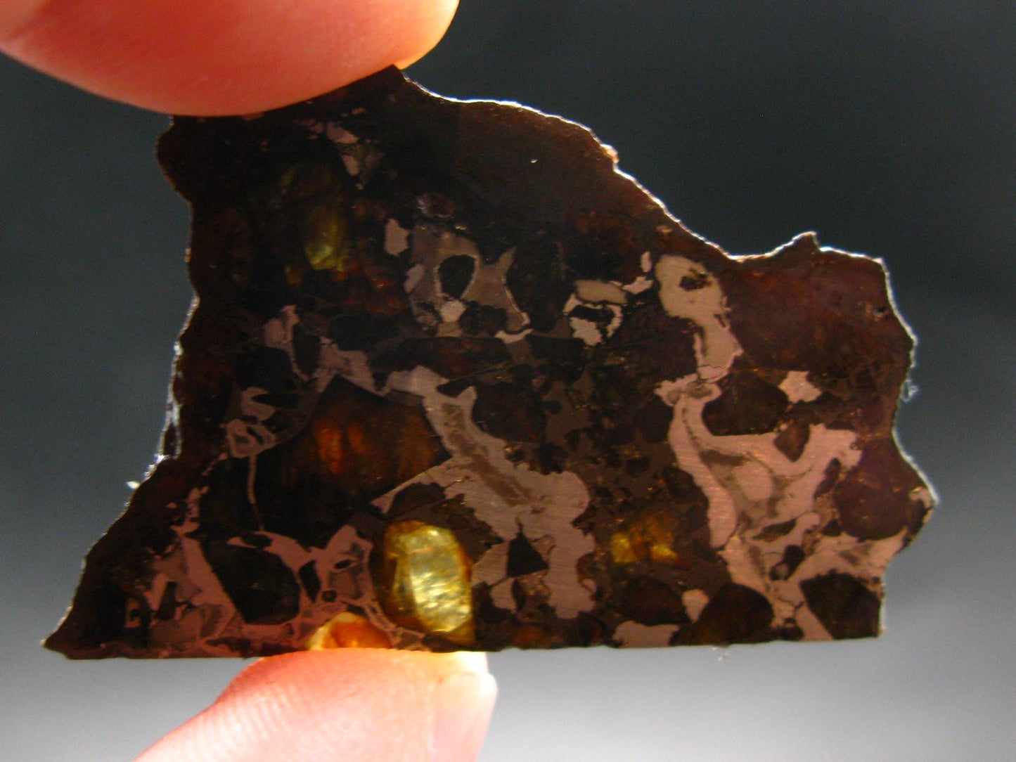 Large Brahin Meteorite Pallasite Olivine Slice From Belarus - 2.4" - 8.82 Grams