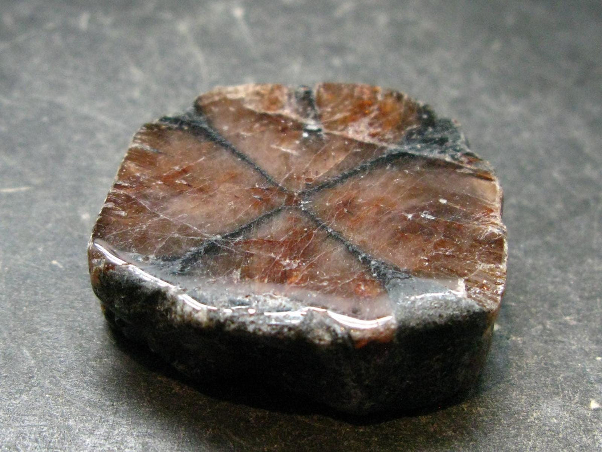 Andalusite Chiastolite Crystal From China - 1.3" - 25.43 Grams