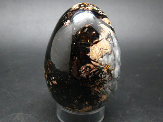 Russian Treasure from the Earth!! Large Metallic Bronze Astrophylite Astrophyllite Egg From Russia - 2.6"