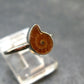 Natural Whole Polished Agatized Ammonite Cleoniceras Sterling Silver Ring from Madagascar - 1.88 Grams - Size 5