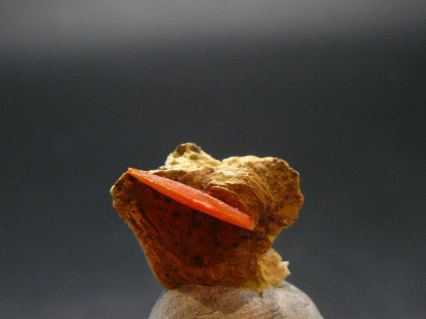 Wulfenite Cluster From Arizona - 0.7"