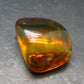 Insects in Amber Piece From Baltic Sea - 4.37 Grams - 1.1"