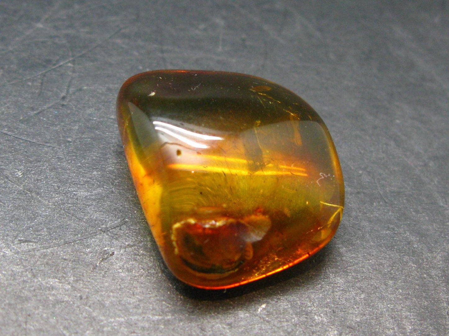 Insects in Amber Piece From Baltic Sea - 4.37 Grams - 1.1"