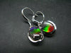 Ammolite Amolite Sterling Silver Earrings From Canada - 1.2"