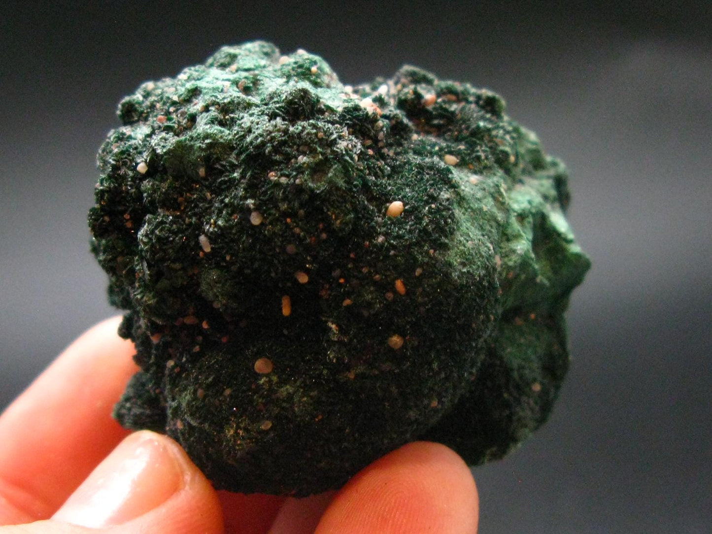Nice Atacamite Cluster from Chile - 1.8" - 88.16 Grams