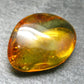 Insects in Amber Piece From Baltic Sea - 3.18 Grams - 1.1"