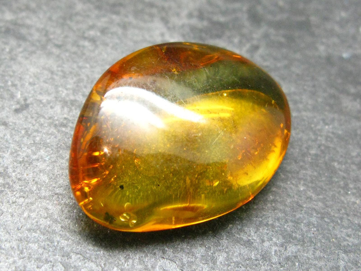 Insects in Amber Piece From Baltic Sea - 3.18 Grams - 1.1"