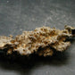 Large Fulgurite Lightning Rock From Sahara Desert - 2.7" - 8.61 Grams