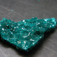Very Nice Dioptase Cluster from Congo - 2.0" - 8.58 Grams