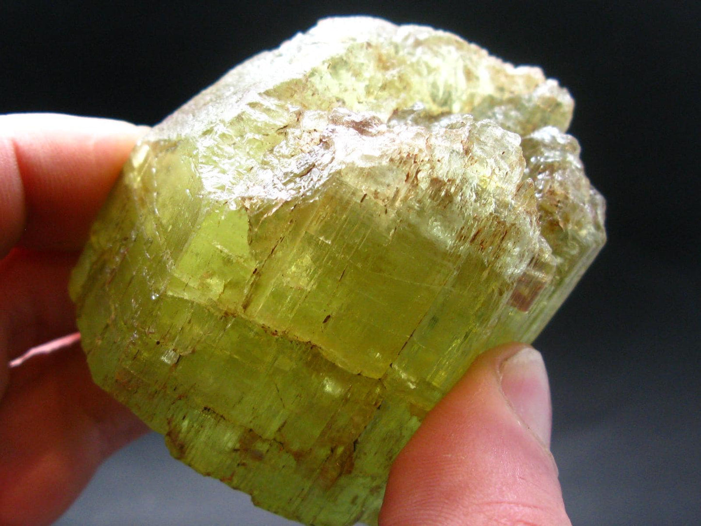 Gem Heliodor Golden Beryl Crystal From Tanzania - 243.63 Grams - 2.6"