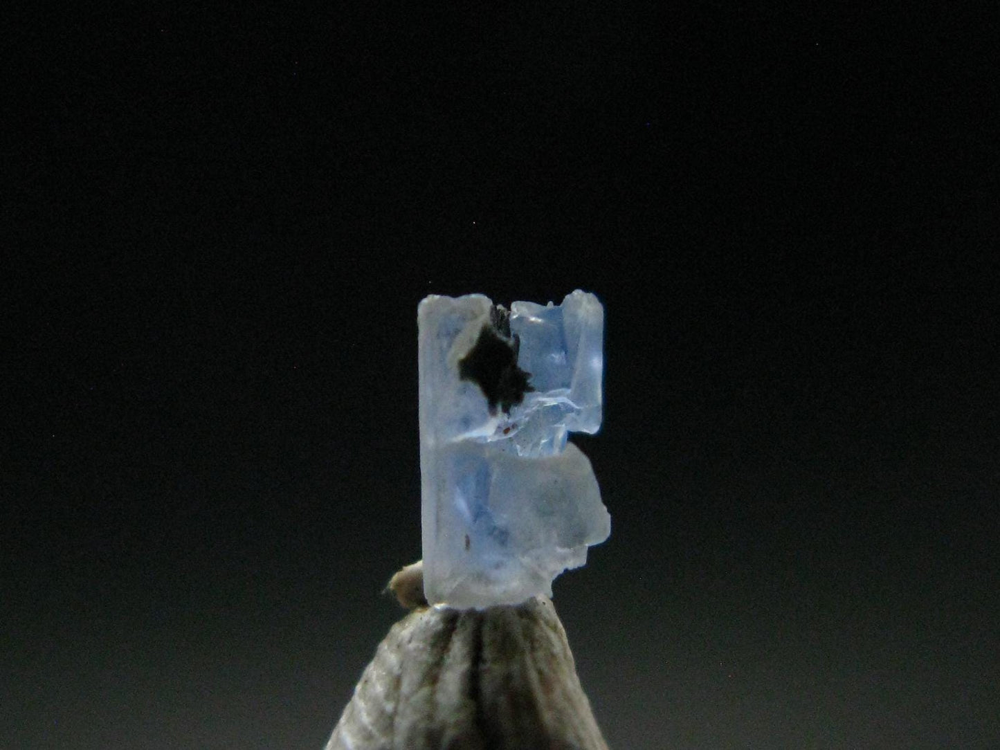 Rare Gem Jeremejevite Crystal From Namibia - 0.23 Carats