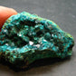 Very Nice Dioptase Cluster from Congo - 2.1" - 54.23 Grams