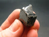 Elite Shungite Raw Piece from Russia - 0.9" - 4.42 Grams