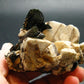 Aegirine Cluster From Malawi - 2.7" - 139.67 Grams