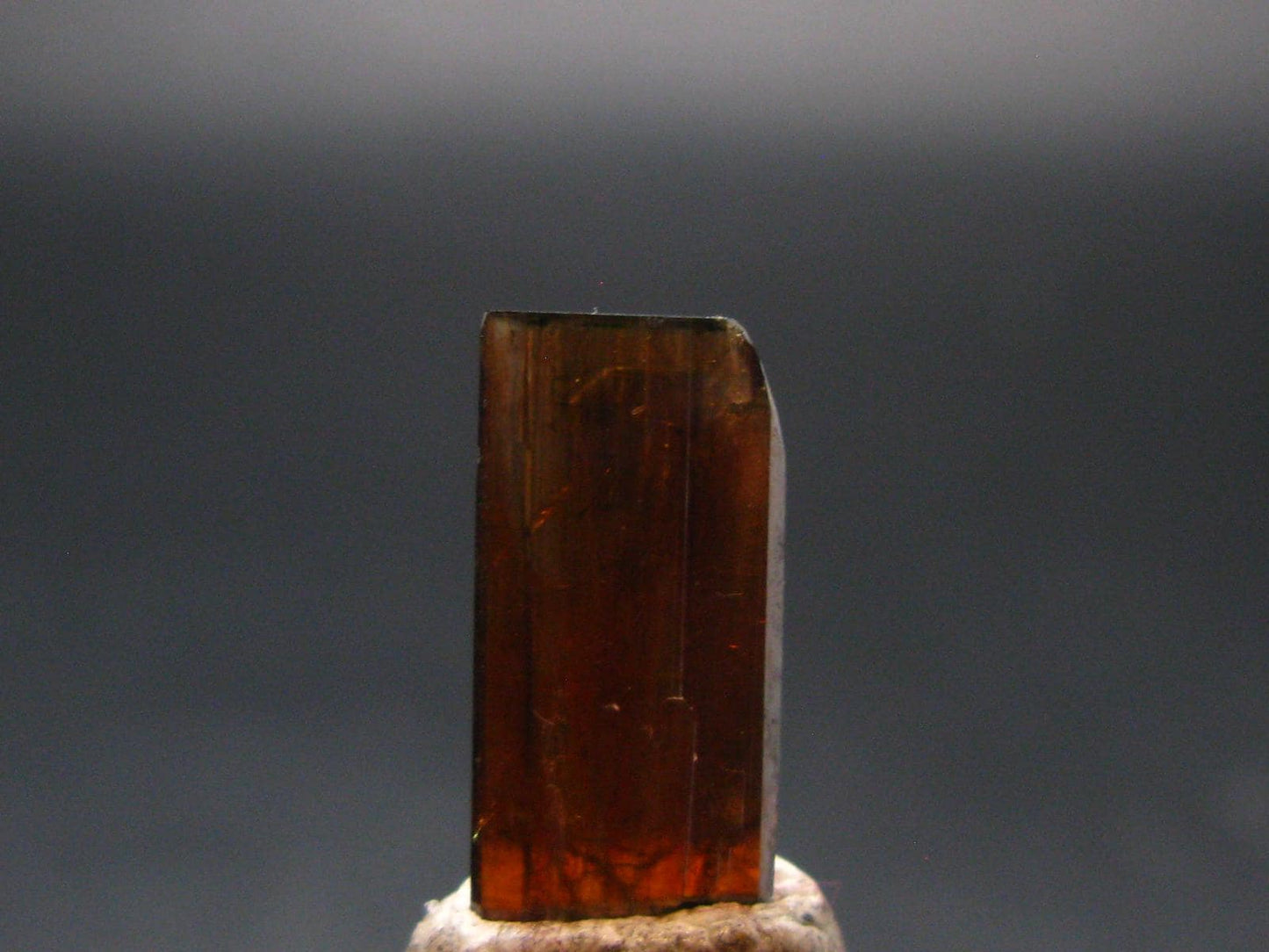 Large Brookite Crystal From Pakistan - 0.51 Grams - 17 mm