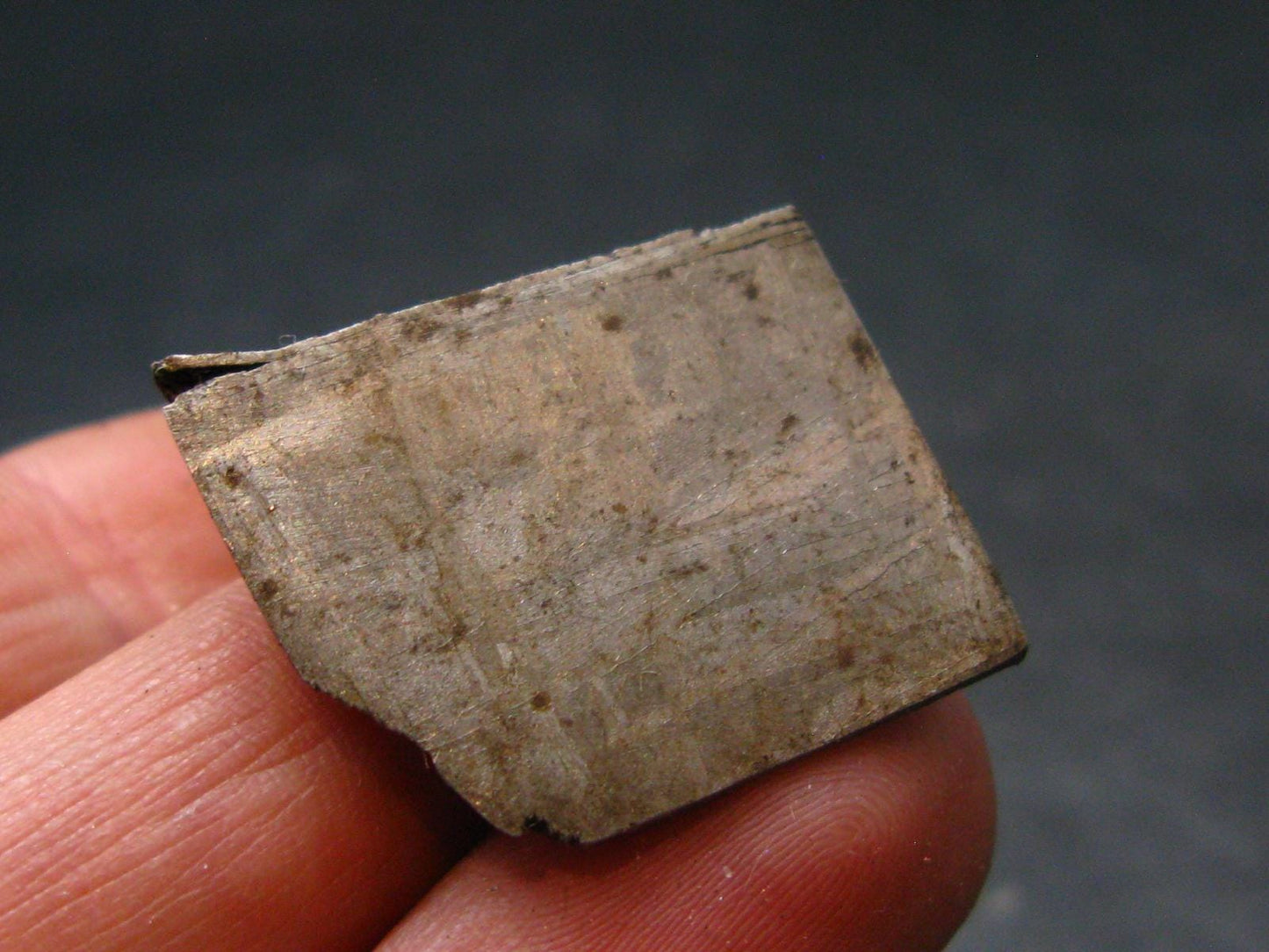 Large Gibeon Meteorite From Namibia - 0.9" - 11.6 Grams