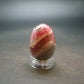 Rhodochrosite Egg from Argentina - 0.9" - 12.64 Grams