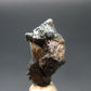 Large Brookite Crystal From Arkansas - 1.53 Grams - 16 mm