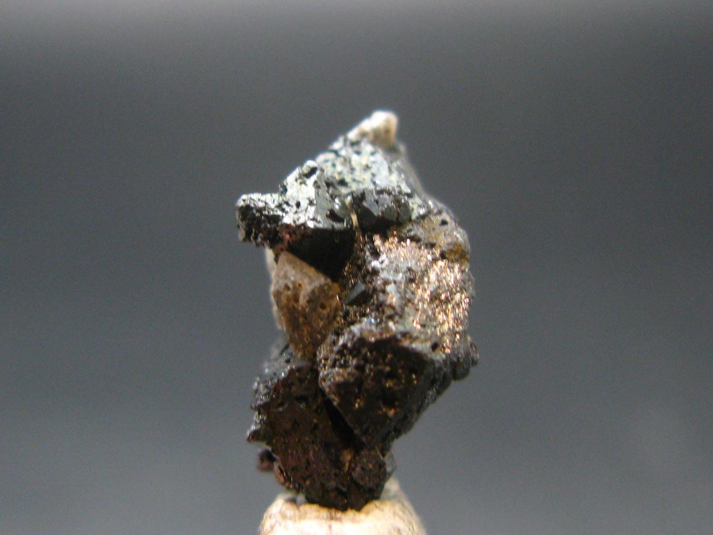 Large Brookite Crystal From Arkansas - 1.53 Grams - 16 mm