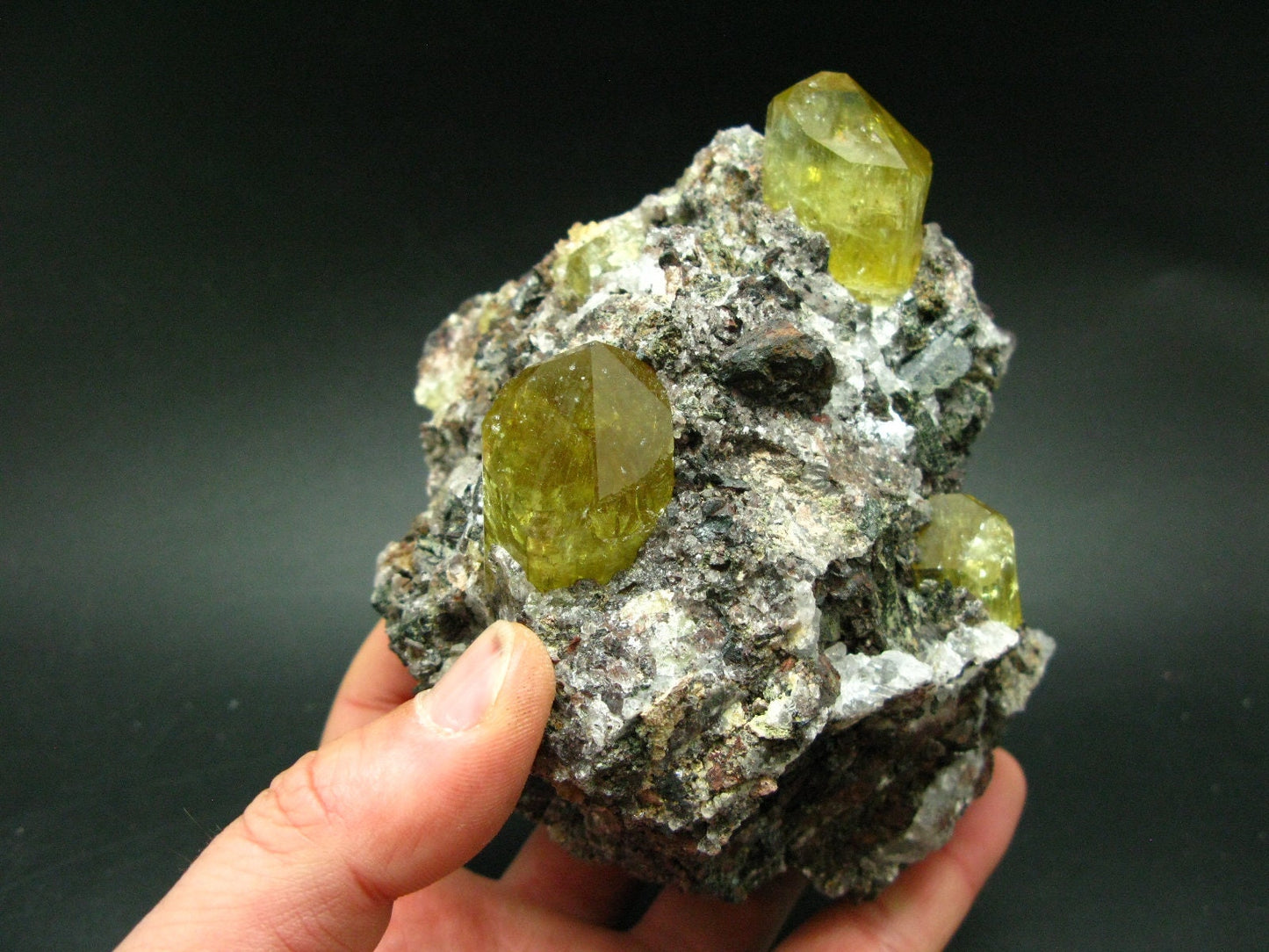 Museum Golden Apatite Cluster From Mexico - 4.8"