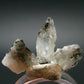 Lot of 10 Phenakite Phenacite Crystals From Brazil - 44.65 Carats