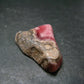 Rhodochrosite Stalactite From Argentina - 1.4" -12.00 Grams