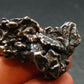 Campo Del Cielo Meteorite from Argentina - 41.63 Grams - 1.4"