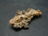 Large Fulgurite Lightning Rock From USA - 1.7" - 1.60 Grams