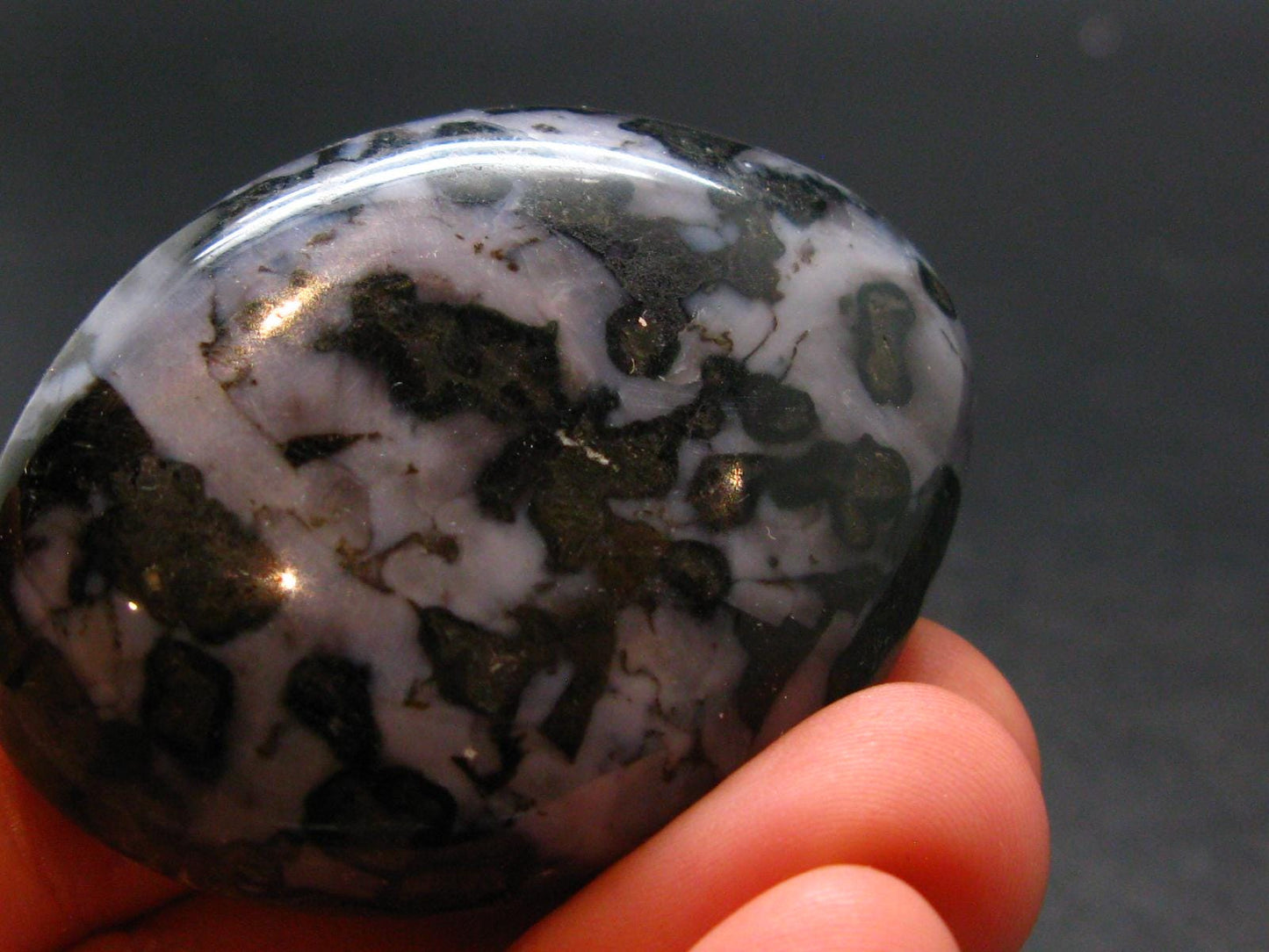 Gabbro Mystic Merlinite Tumbled Piece From Indian Ocean - 1.9"