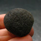 Rare Saffordite Cintamani Stone Pseudotektite Piece from Arizona USA - 63.10 Carats - 1.1"