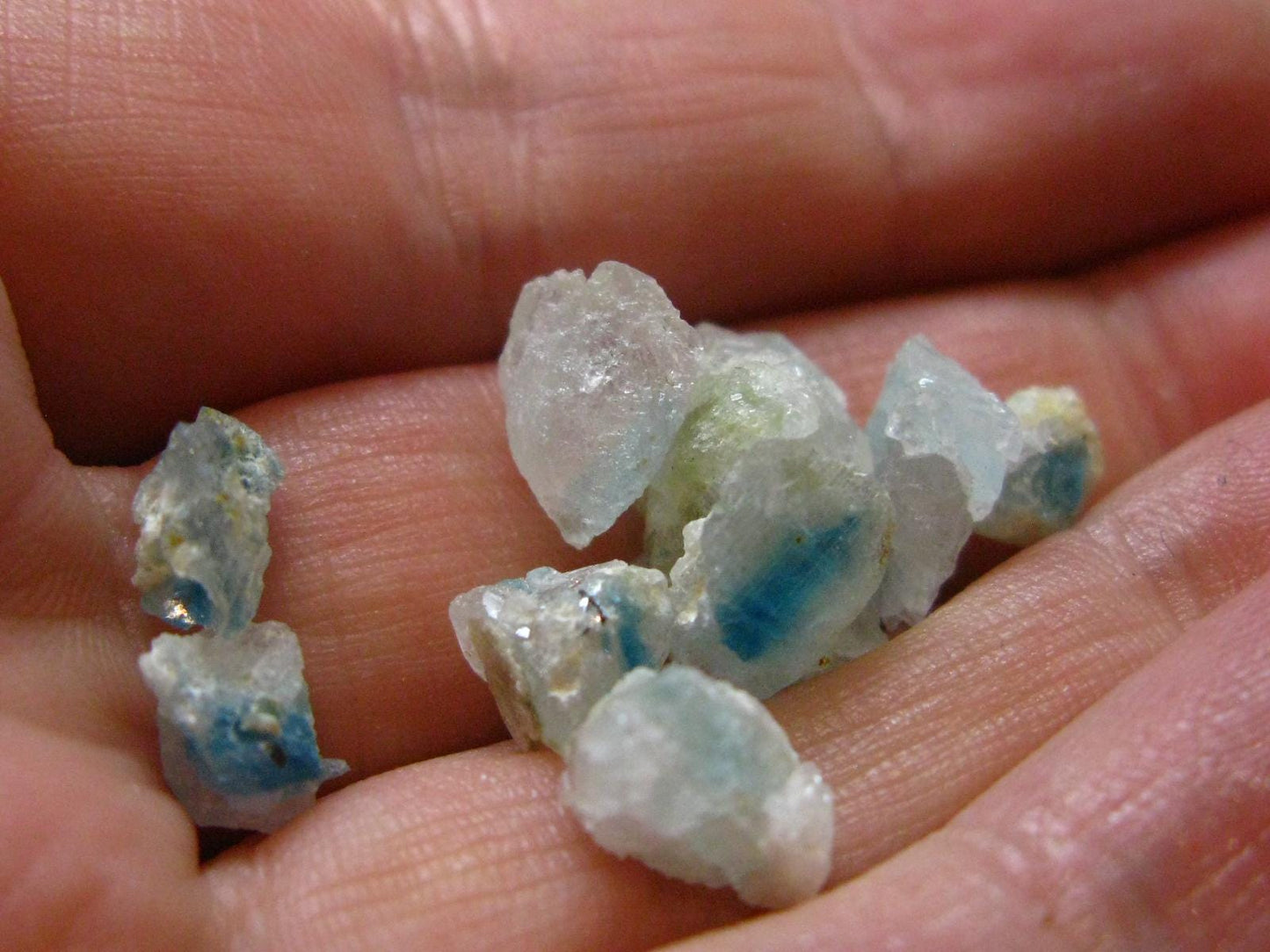 Lot of 10 Euclase Gem Crystal From Brazil - 17.65 Carats
