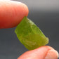 Rare 14.5 Carat Gem Peridot Olivine Crystal from Arizona, USA - 0.7"