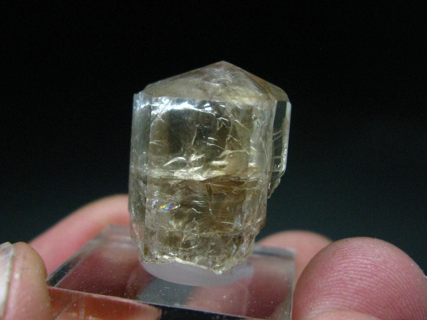 Rare Gem Phenacite Phenakite Crystal From Myanmar (Burma) - 48.55 Carats