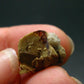 Rare Monazite Crystal From Brazil - 0.6" - 2.40 Grams