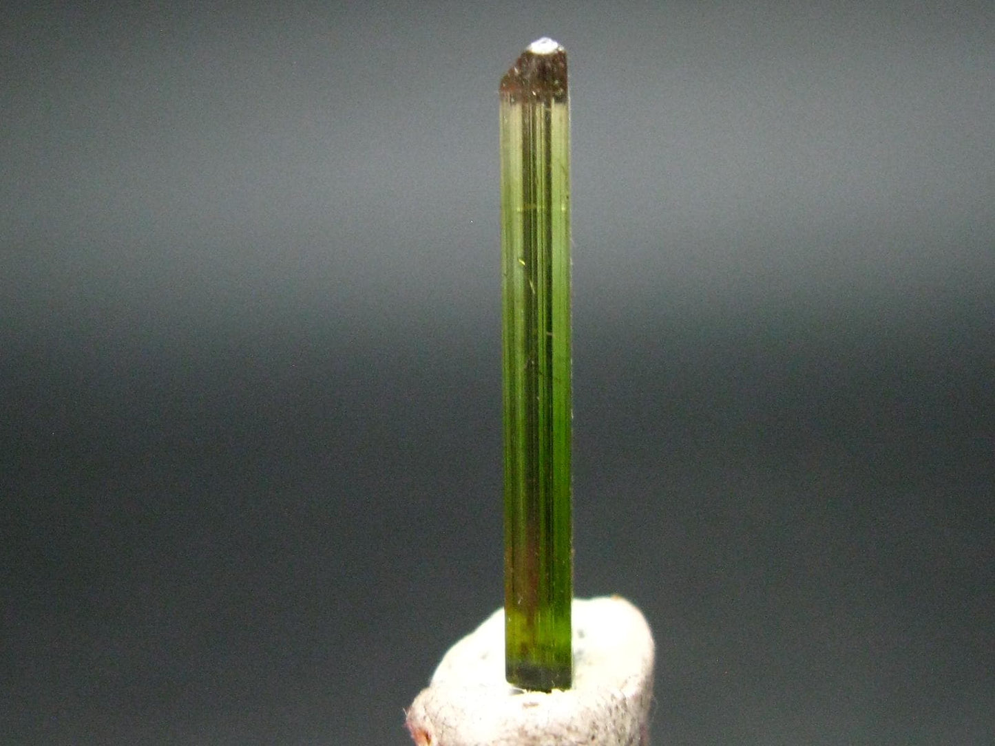 Rare Watermelon Tourmaline Crystal From Brazil - 0.9" - 2.70 Carats