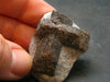 A Perfect Staurolite Crystal on Matrix from Russia - 1.4"