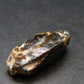 Rare Xenotime Crystal from Brazil - 0.8" - 3.36 Grams