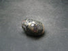 Healers Gold Pyrite With Magnetite Tumbled Stone From USA - 1.3" - 37.2 Grams