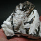 Large Natrolite Serandite And Aegirine Crystal from Canada - 4.3" - 308.38 Grams