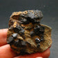 Extremely Rare Perovskite Cluster from Russia - 68.50 Grams - 1.9"