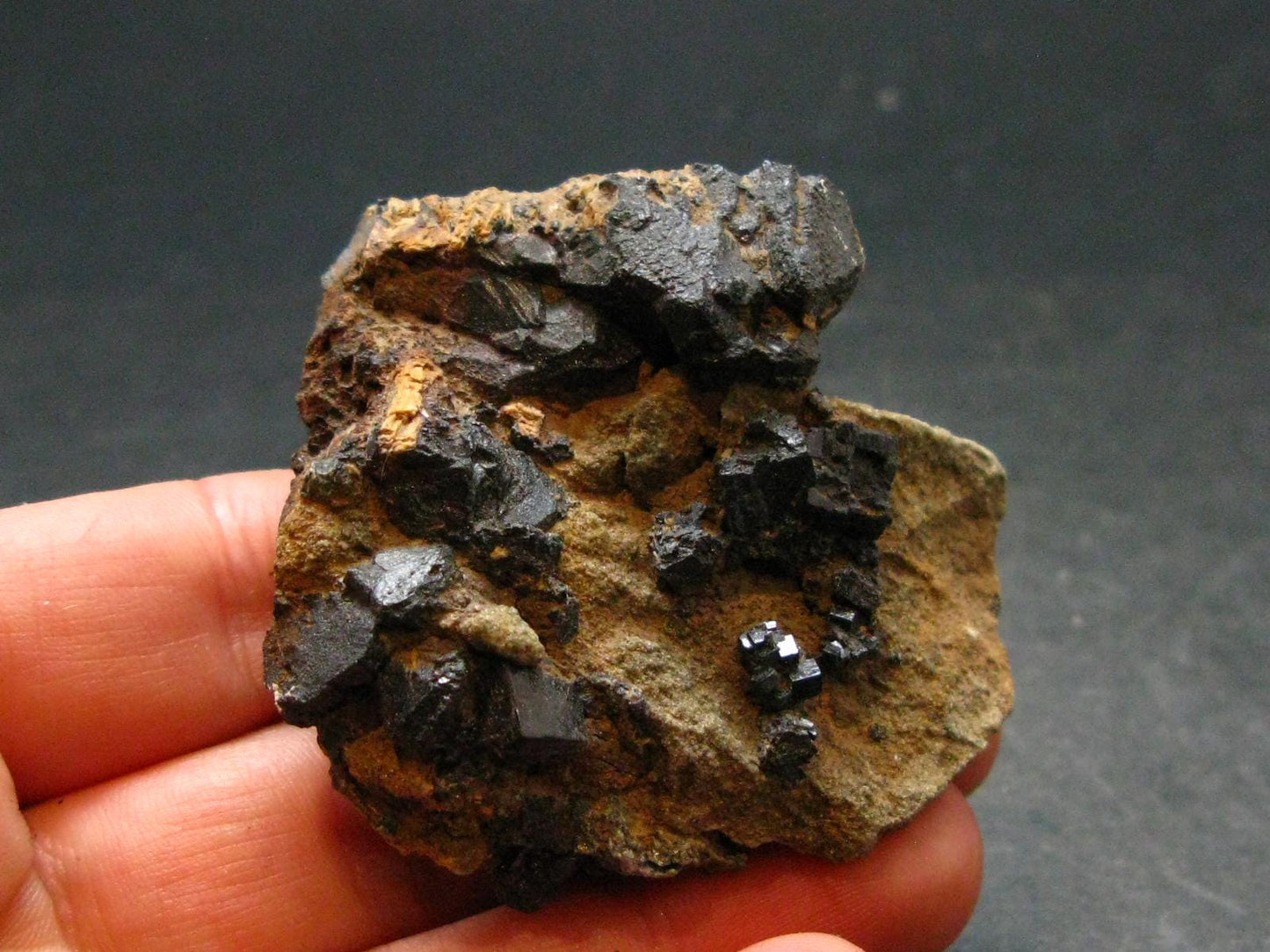 Extremely Rare Perovskite Cluster from Russia - 68.50 Grams - 1.9"